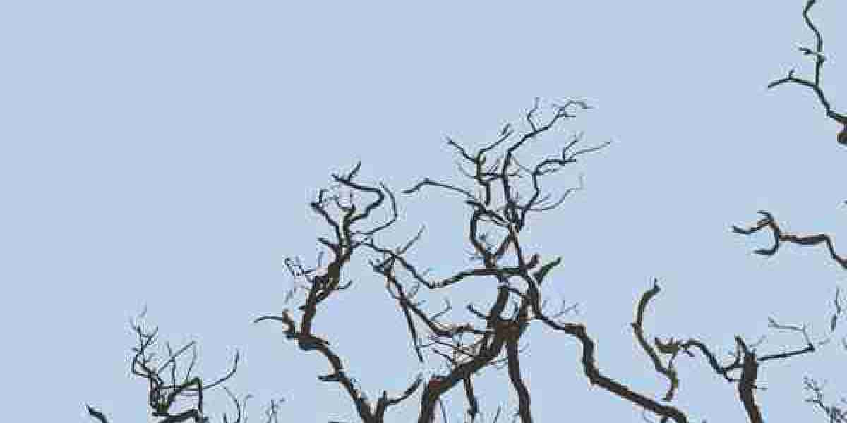 , this drug would not convert to estrogen, that means there are fewer Anavar side effects to worry about (2).|Some indiv