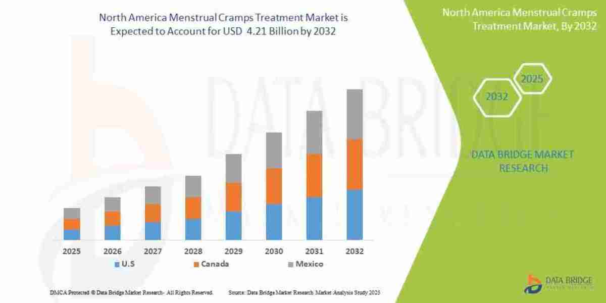 North America Menstrual Cramps Treatment Market Demand, Drivers, and Competitive Landscape Report