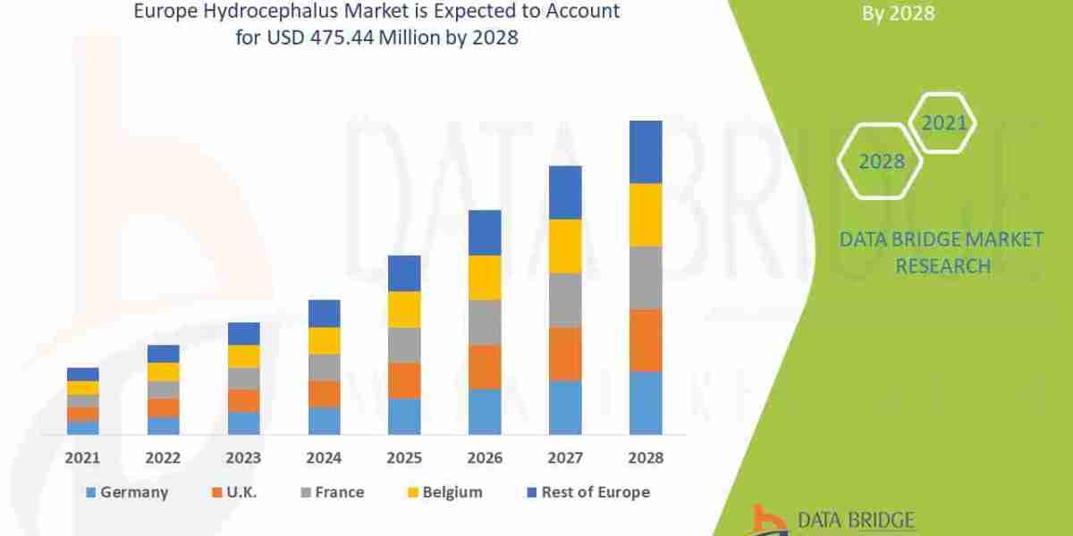 Europe Hydrocephalus Market Overview: Key Drivers and Challenges