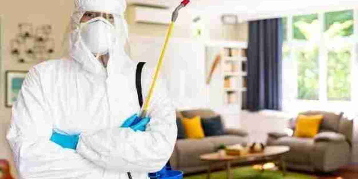 The Ultimate Guide to Effective Cockroach Prevention and Control for Homes and Businesses