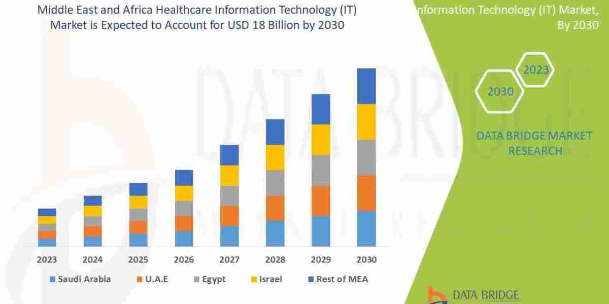 Middle East and Africa Healthcare Information Technology (IT) Market: Insights, Key Players, and Growth Analysis
