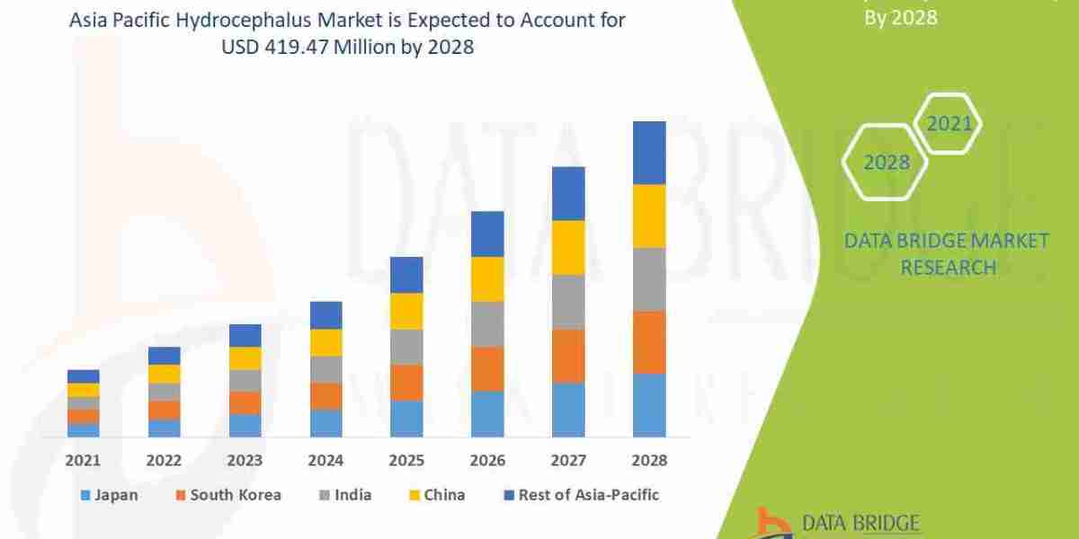 Asia Pacific Hydrocephalus Market Overview: Key Drivers and Challenges