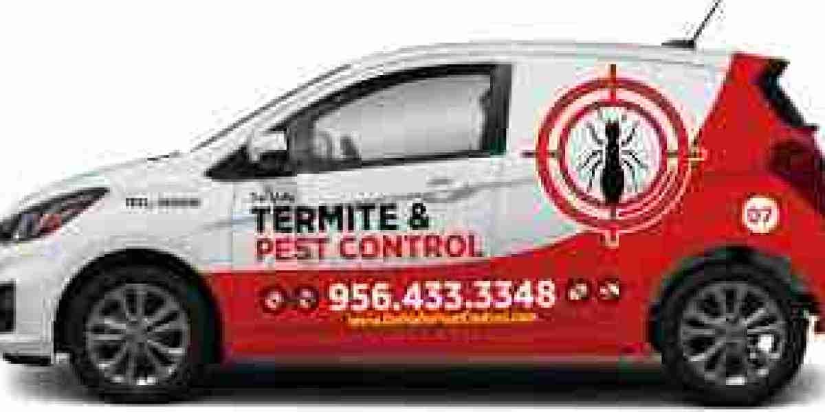 Valley Pest: Trusted Protection for Homes and Businesses