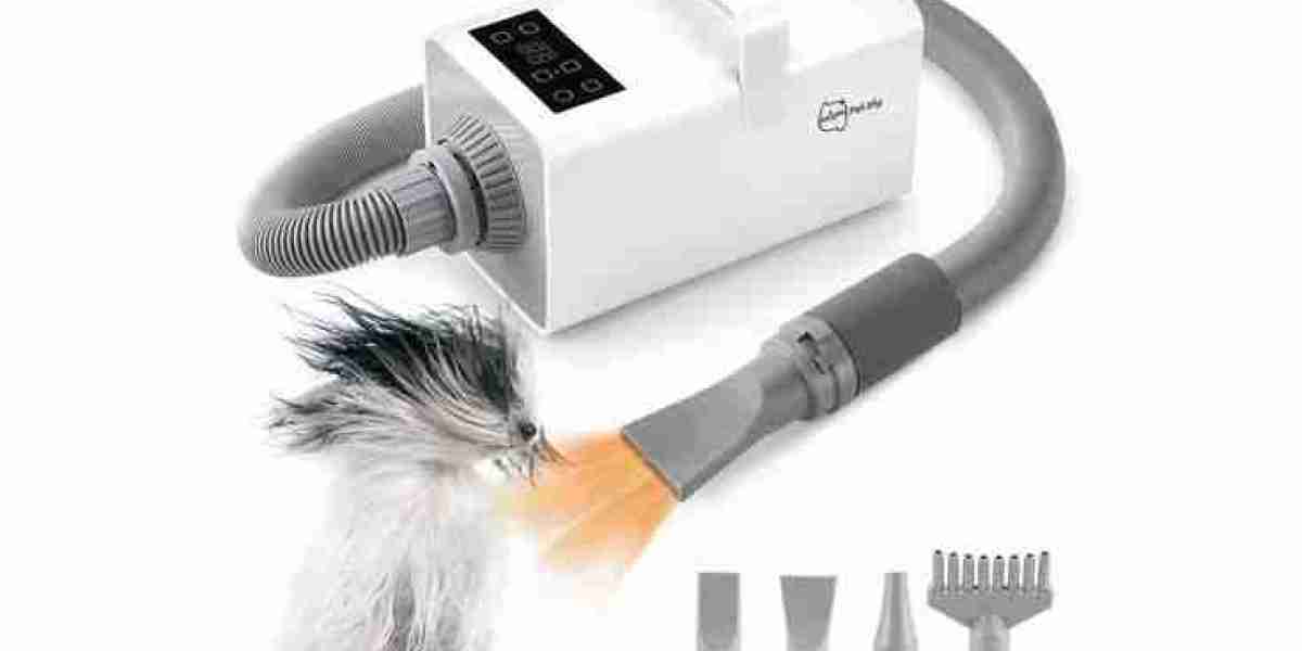 Dog Hair Dryer Market Growth Outlook l 2025-2030