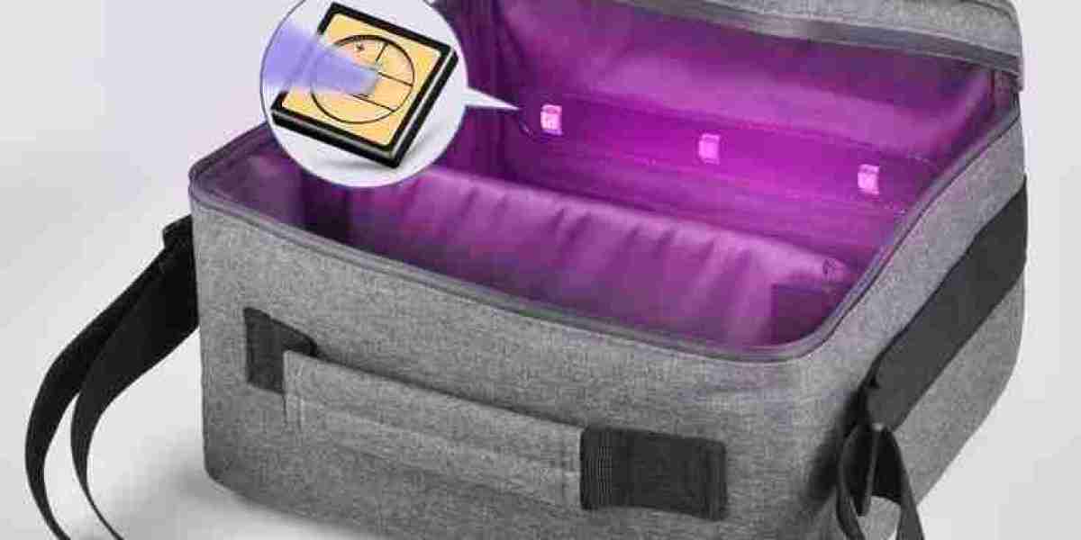 Portable Underwear Sterilizer Market Size and Share l 2025-2030