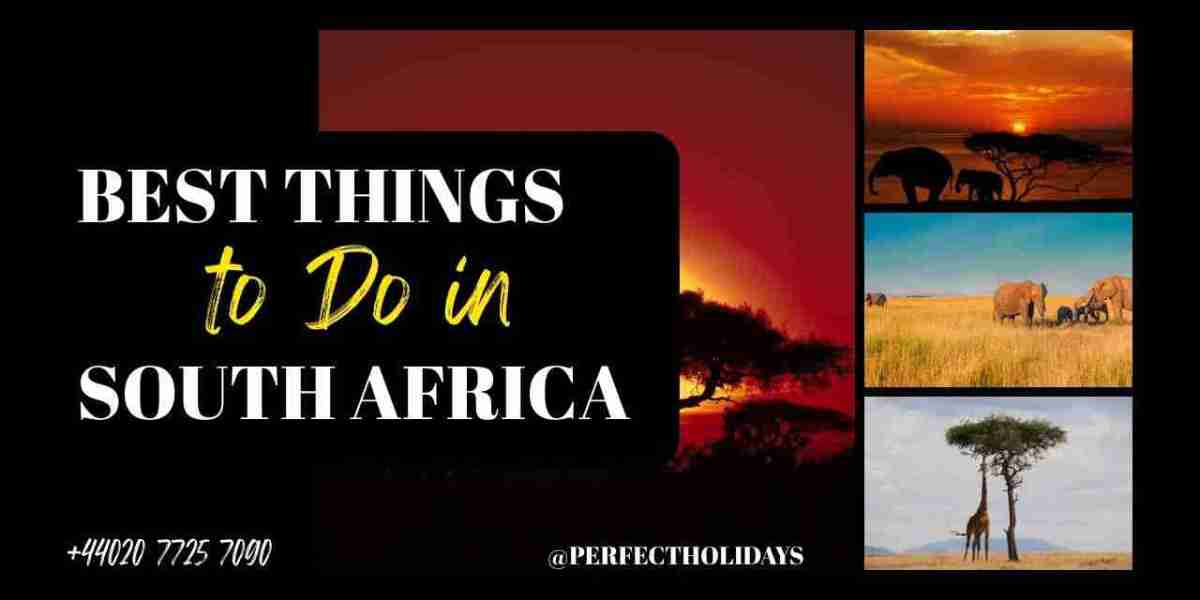 Top 13 of The Best Things to Do in South Africa