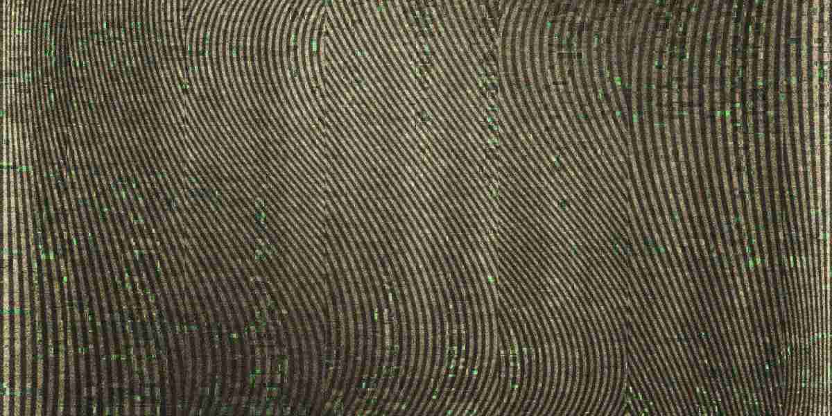 The Price Of Wheels Up Private Jet Services: A Comprehensive Overview