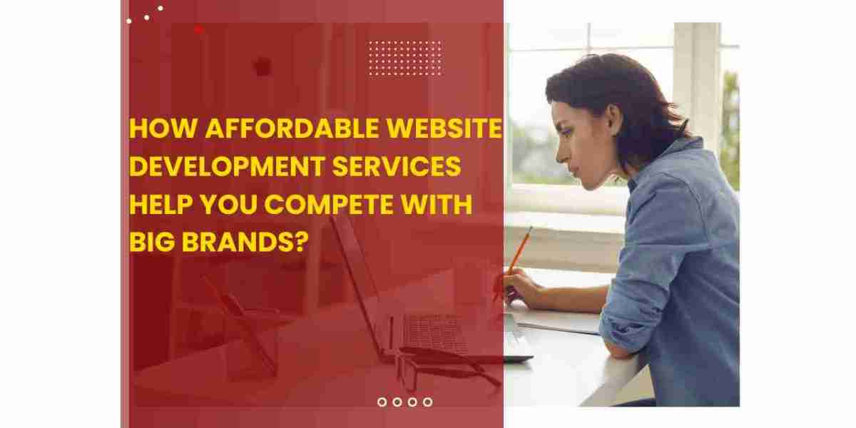 How Affordable Website Development Services Help You Compete with Big Brands?