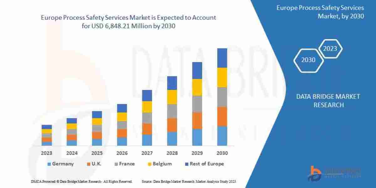 Europe Process Safety Services Market Strategic Analysis: Size, Growth, and Segment Trends