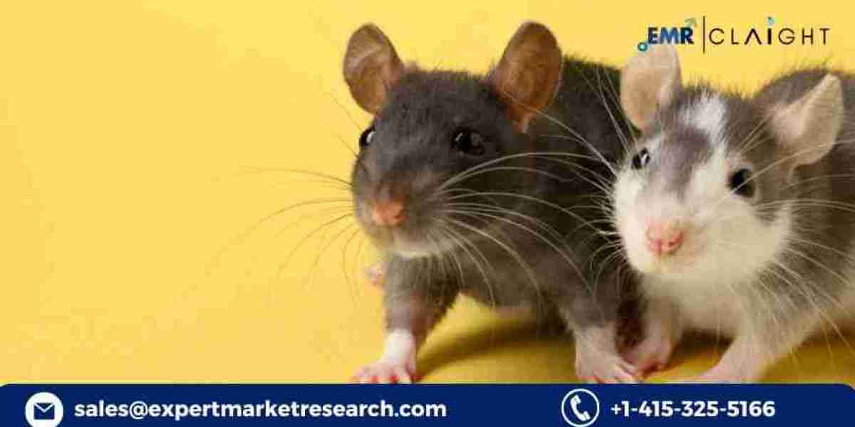 What Is Fueling the Growth of the Humanised Mouse and Rat Model Market?