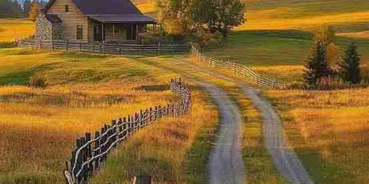 Race towards Exchange Bryce Younger at Quarterback Presently Intense