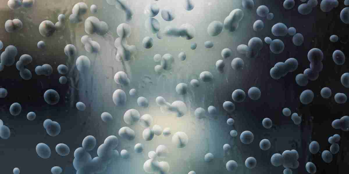 Understanding Installment Loans: A Guide To No Credit Check Direct Lenders