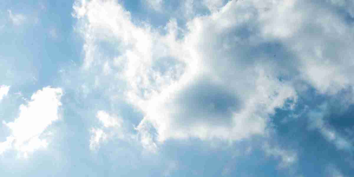 Private Flights for Dogs: A Comprehensive Research On Canine Air Journey