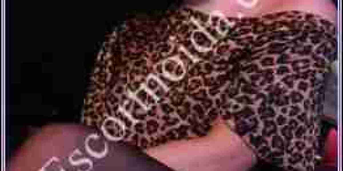 Exploring the Vibrant Companionship Scene in Delhi-NCR Regions