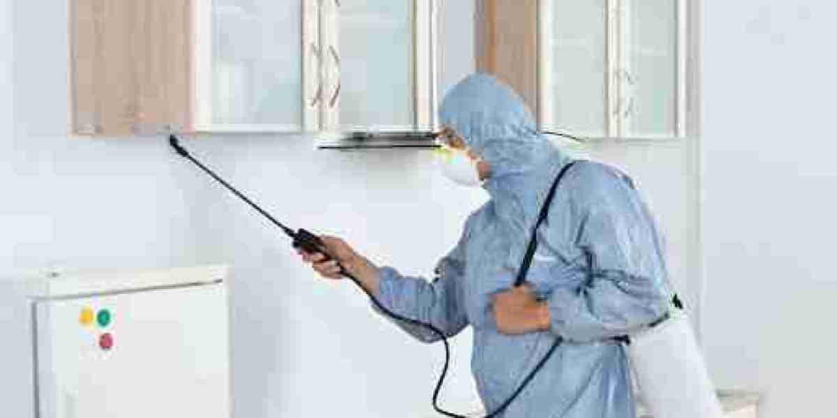 Sydney Termite Control Experts Offering Fast and Effective Property Protection