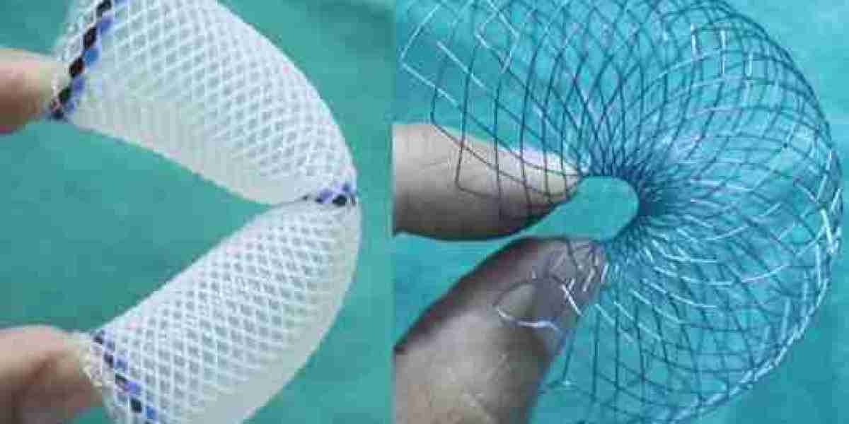 Gastrointestinal Stents Market Size, Share and Trends Forecast 2025-2033