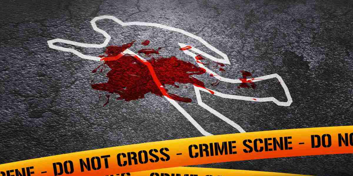 Exploring Modafinil Shops: A Complete Overview