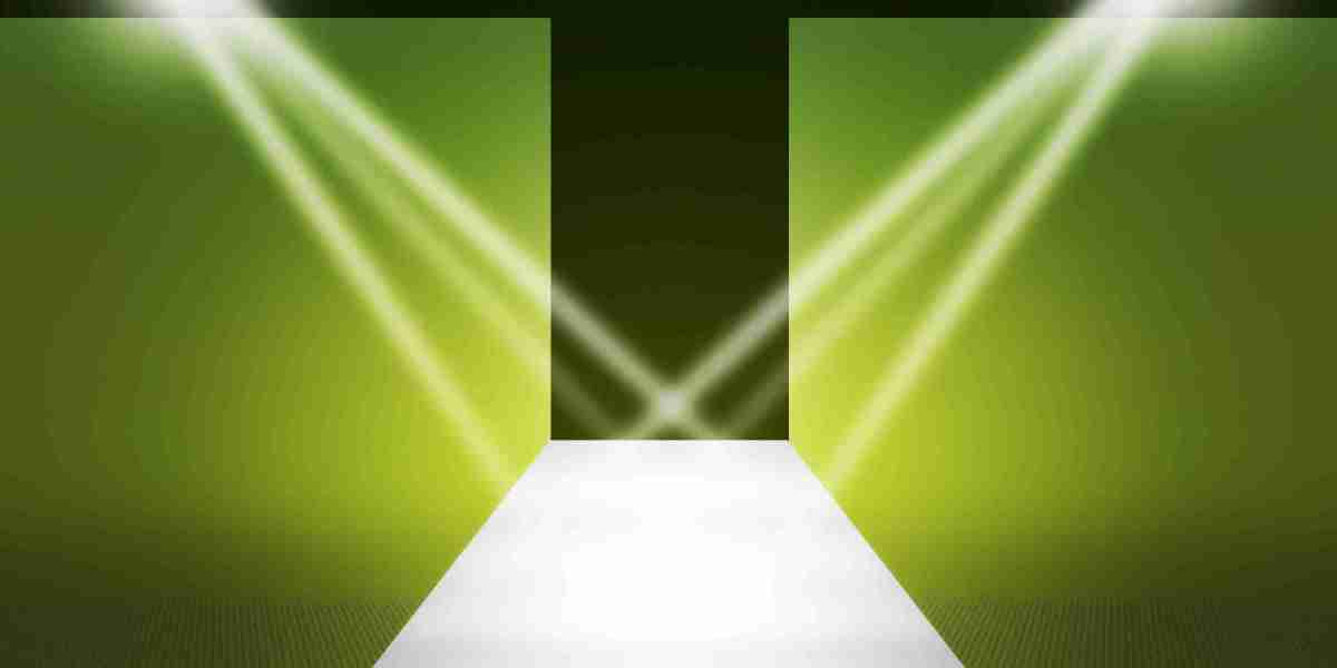 Understanding Payday Loans With No Credit Checks: An Observational Research