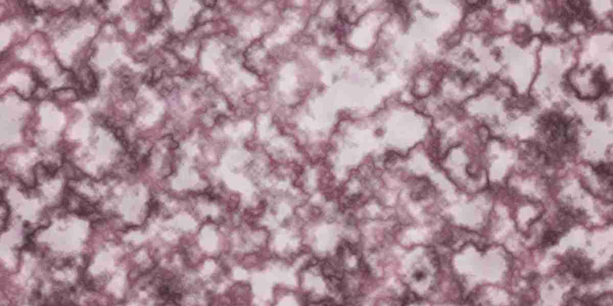 Developments In Male Erectile Disorder Treatment: A Comprehensive Overview