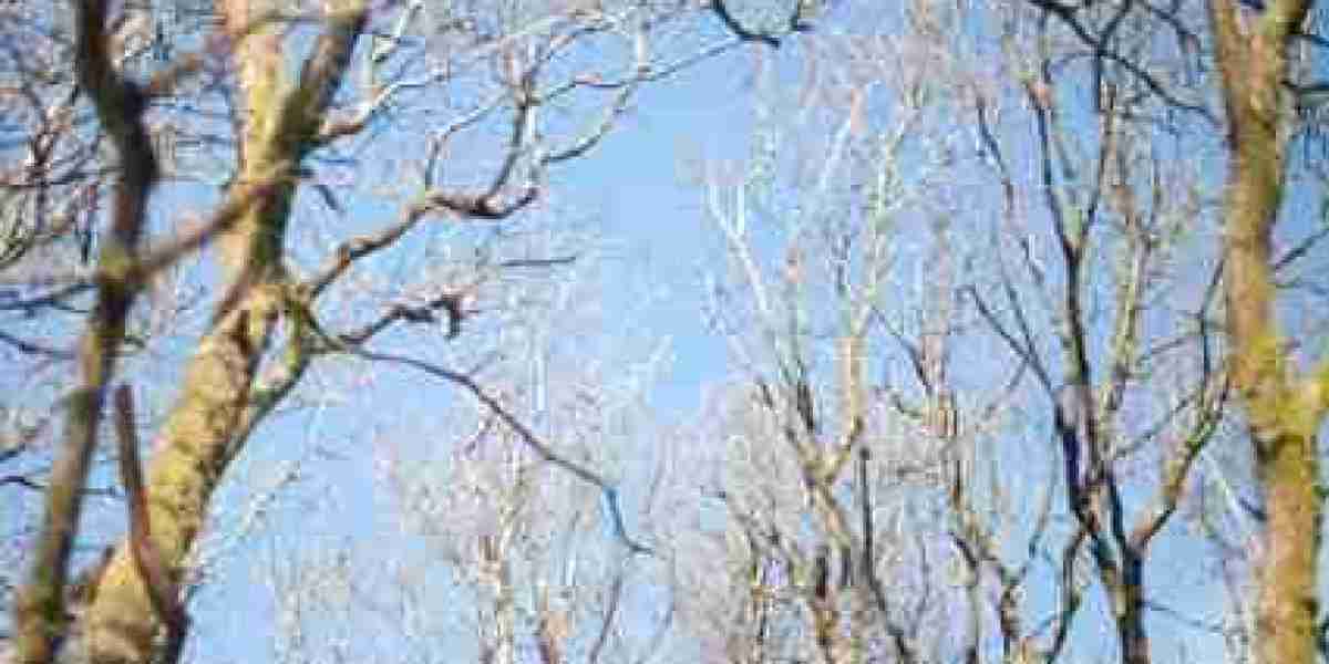 KingBilly Casino KingBillyCasino Bonus Up to £2,500 and 250 Free Spins Await!