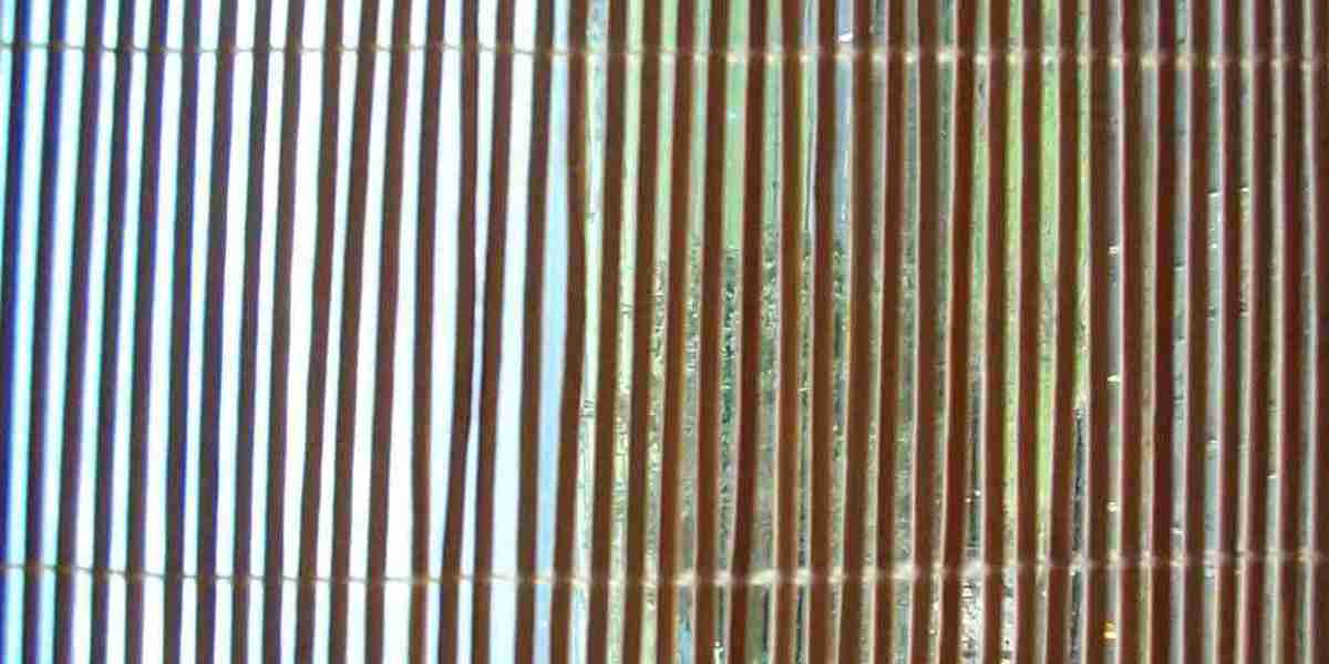 Wheeling, WV Weather Forecast