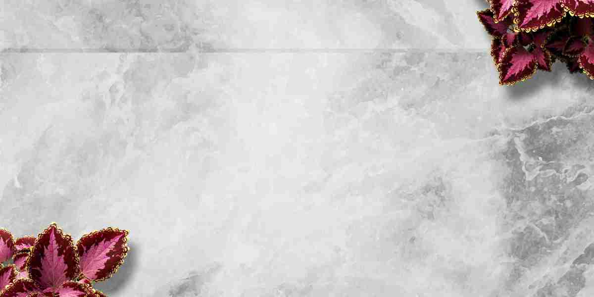 Modafinil: A Growing Development in On-line Purchases Throughout The USA