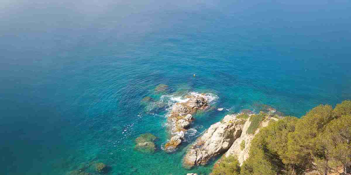 A Complete Study Of Sugar Daddy Sites Worldwide