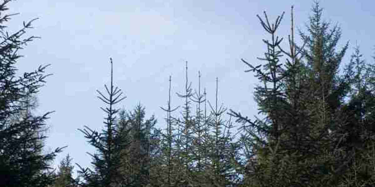 15 Best Online Casinos Australia 2025 Real Money Casino Sites