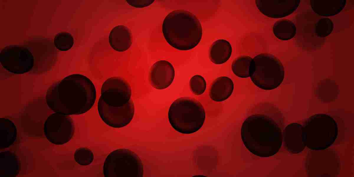 Private Flight Services: An In-Depth Examine