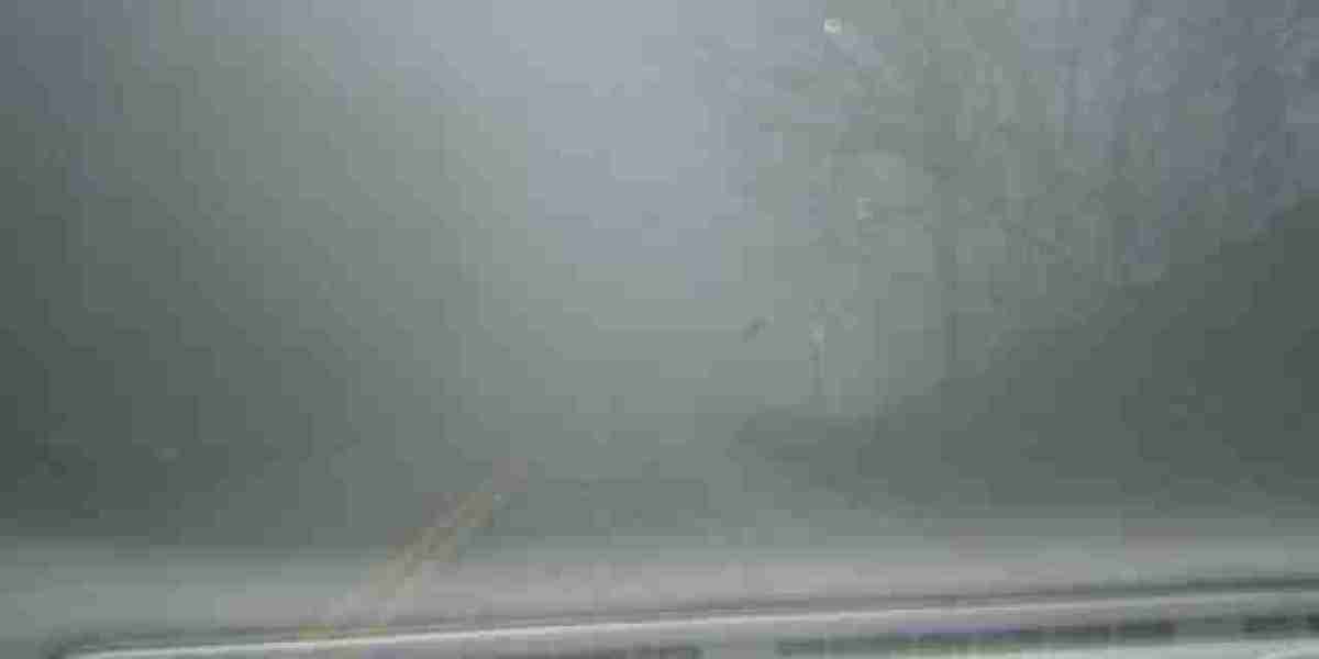 Meet the People Behind the Play