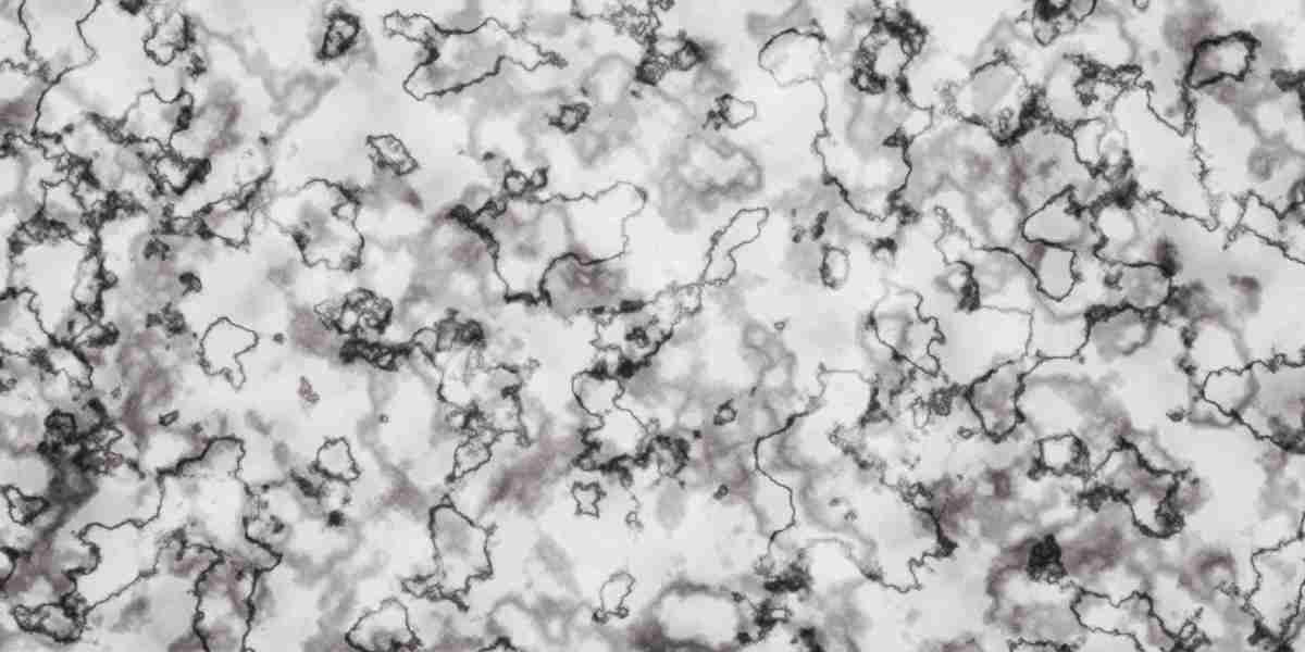 The Rise Of Private Jet Airlines: A Comprehensive Overview