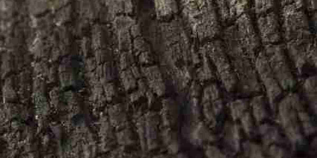 2024s Top Online Casino with $6,000 Bonus