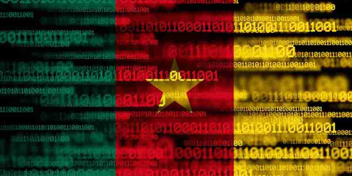 Cameroon Digital Censorship: Crisis & VPN Surge