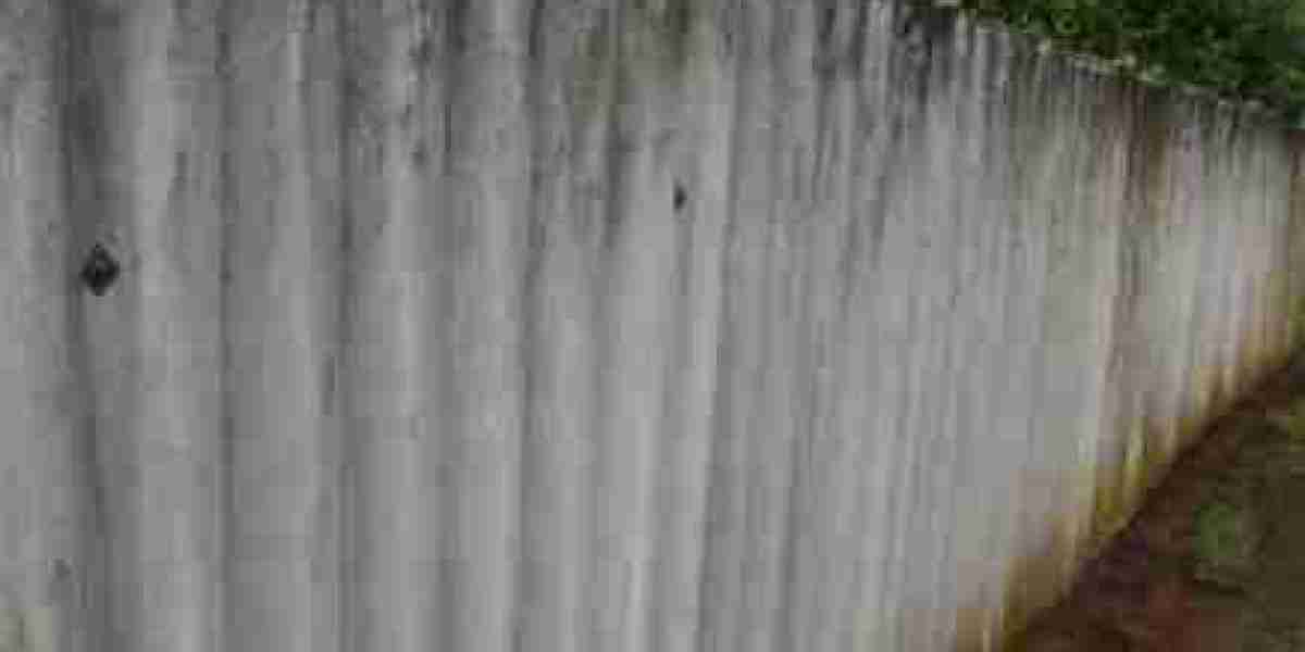 Sydney Asbestos Removal Experts Ensuring Safety, Compliance, and Peace of Mind