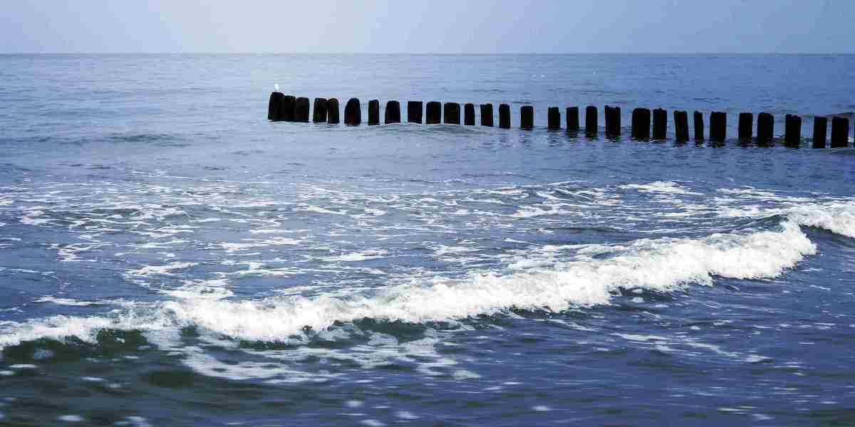 Exploring the Online Buy of Modafinil In Singapore: A Comprehensive Guide