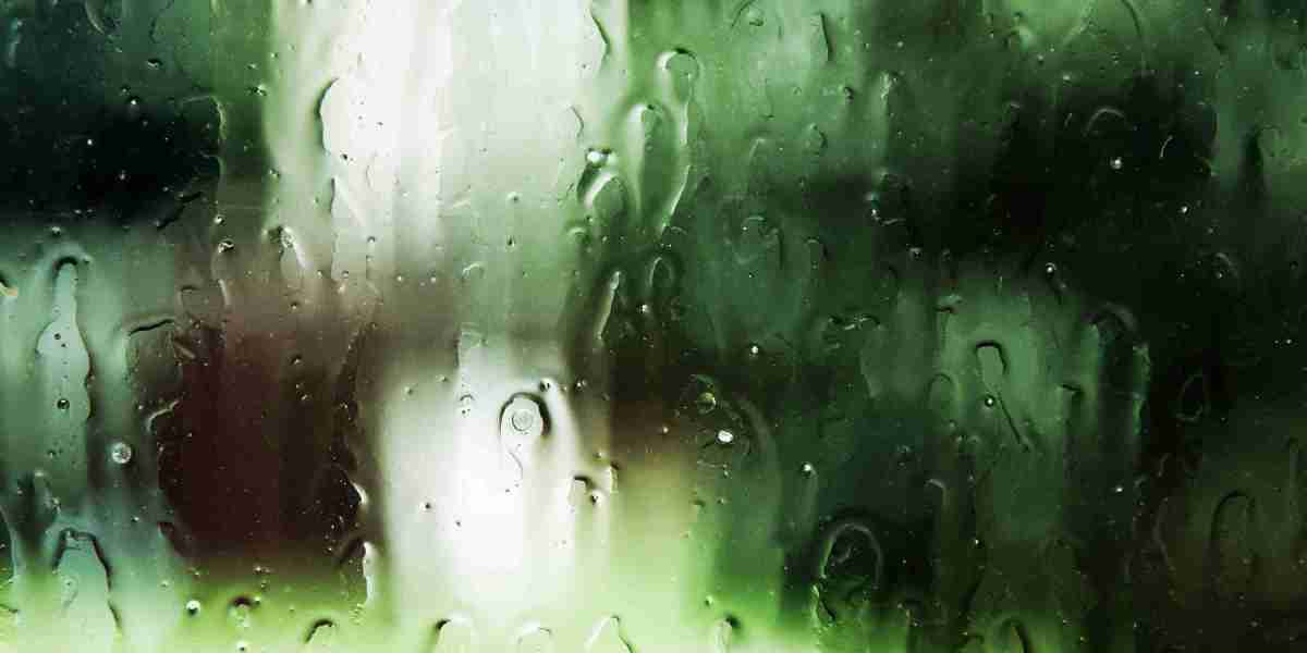 Exploring Sugar Daddy Websites In Belfast: A Complete Guide