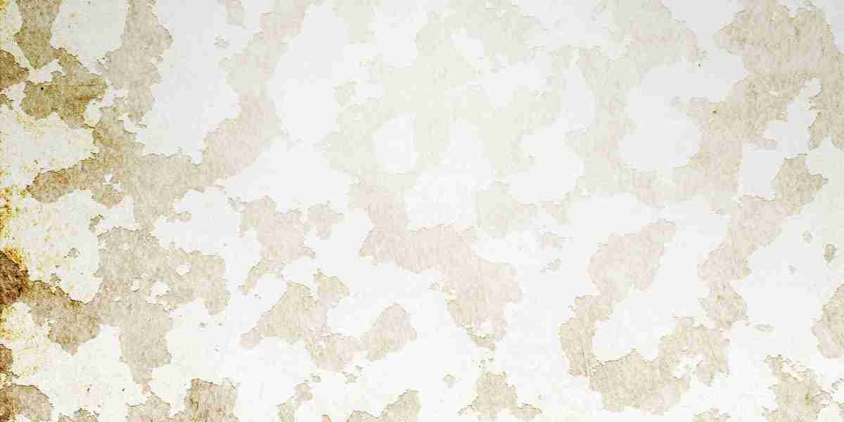 Provigil: An Overview of Its Mechanism, Makes use of, And Implications