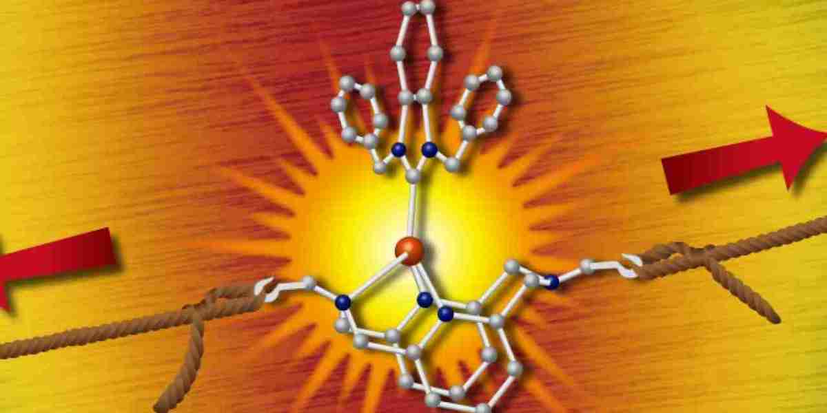 Smart Polymers Market Share, Size and Trends Forecast 2026-2034