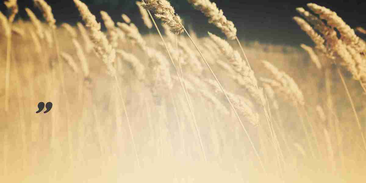 Understanding Gold IRA Investments: A Comprehensive Information