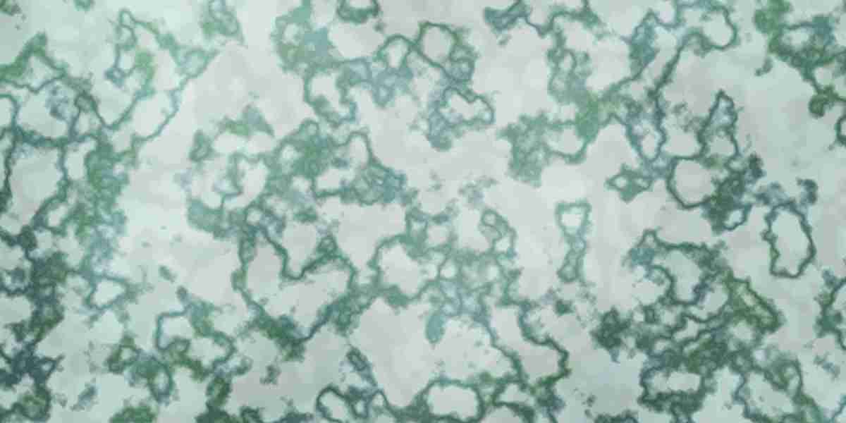 Sugar Daddy Websites in Utah: Exploring the Dynamics Of Modern Relationships