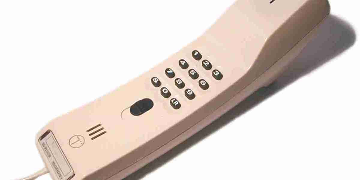 Enchanting Ventures in the Realm of WS Casino