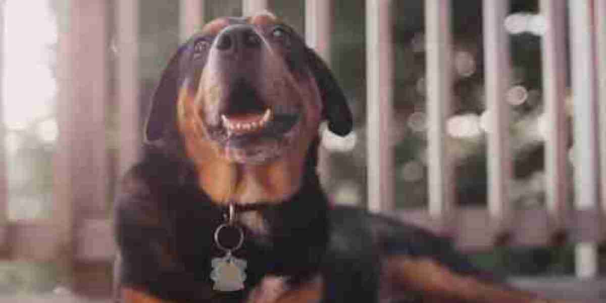 It Shall Set Forth The Name