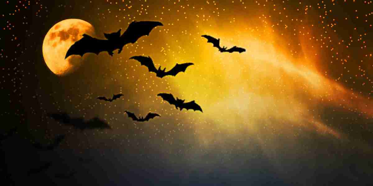 Understanding Private Strains of Credit Score for Dangerous Credit: A Comprehensive Information