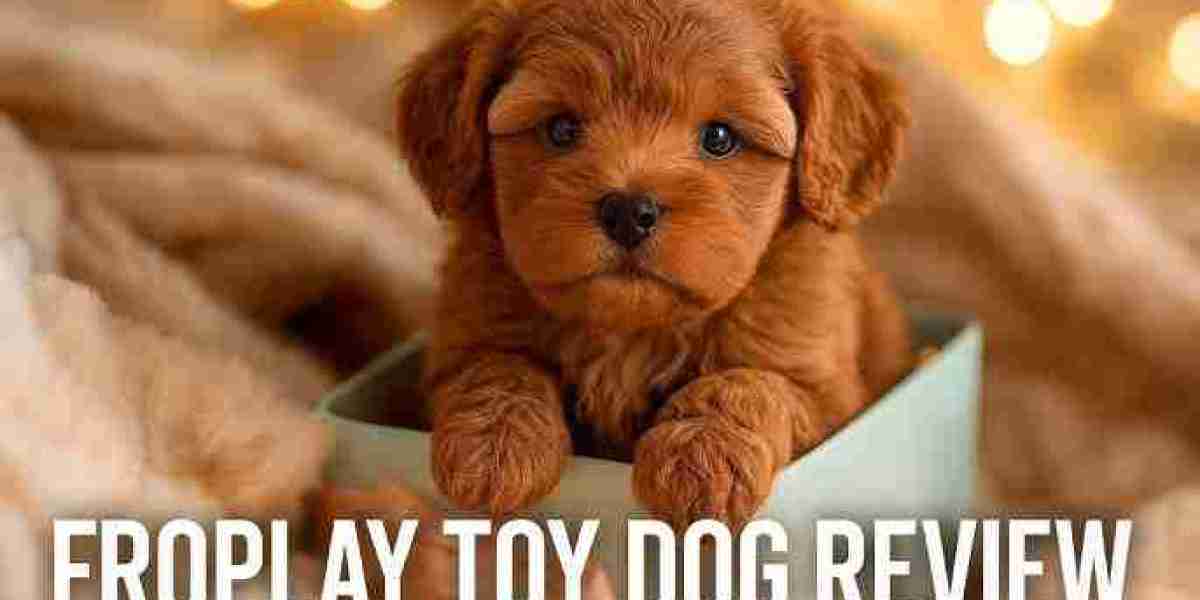 Froplay Interaktives Hundespielzeug – Die clevere Art, Ihr Haustier aktiv zu halten