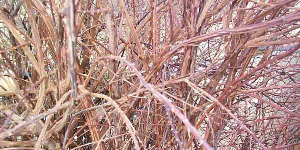 15 Best Online Casinos Australia 2025 Real Money Casino Sites