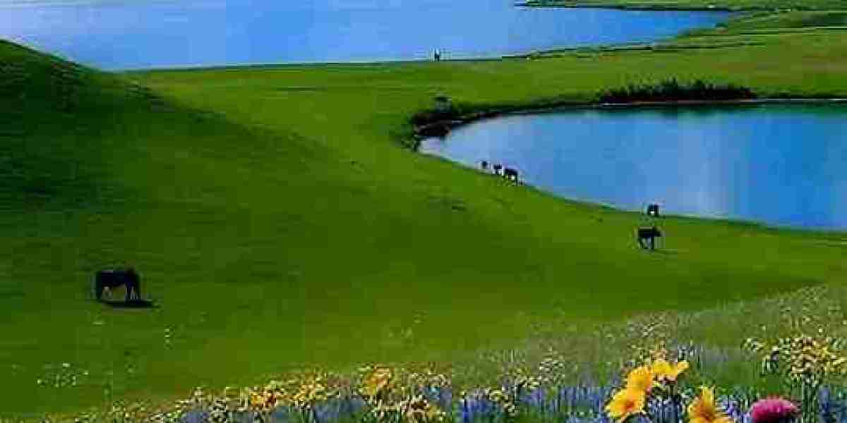 Luongo and Roy Identified as in the direction of the NHL Quarter-Century Employees