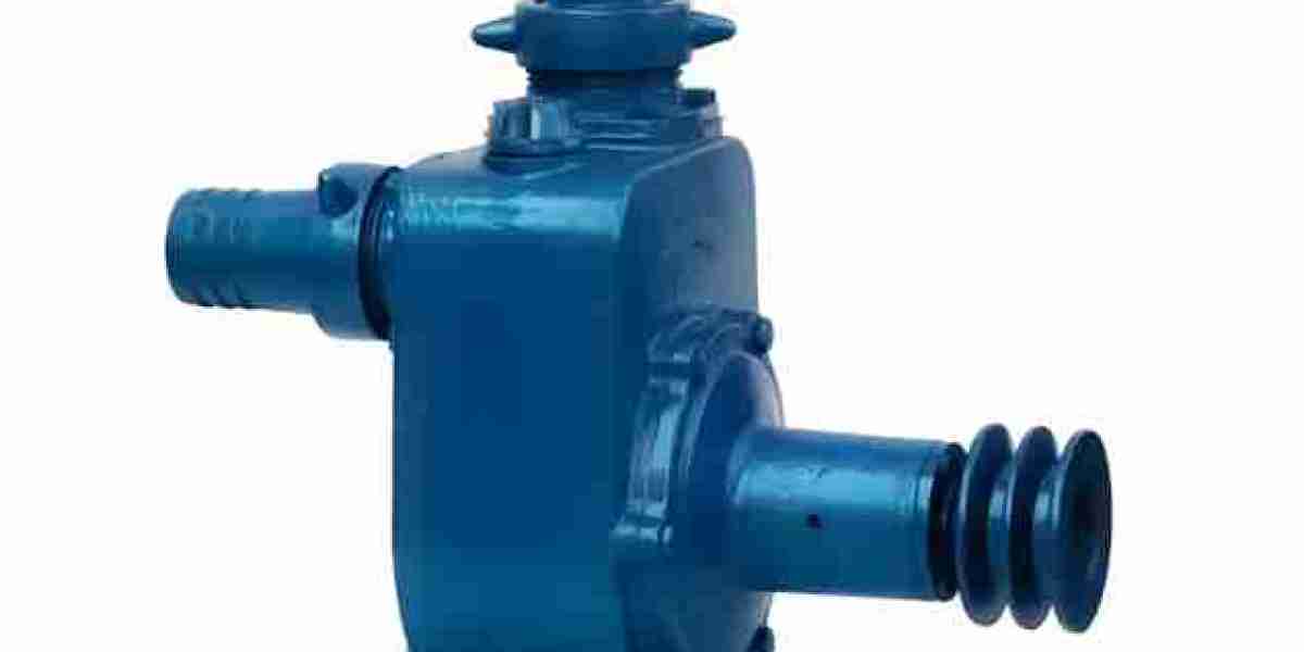 From Garden to Garage: Unleash the Versatility of a Centrifugal Pump