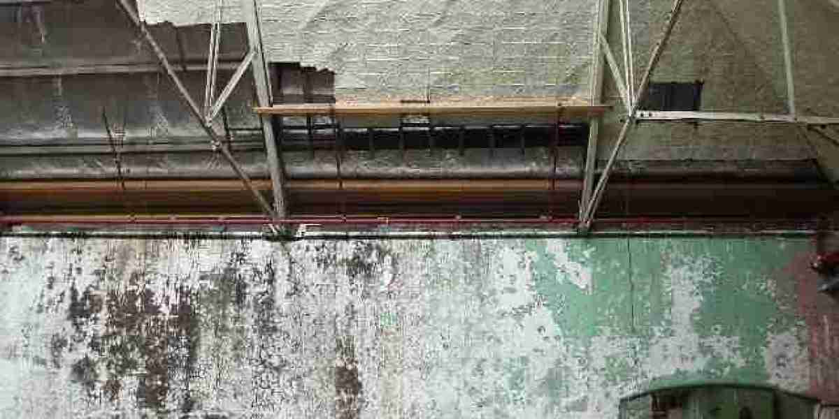 Meet the People Behind the Play