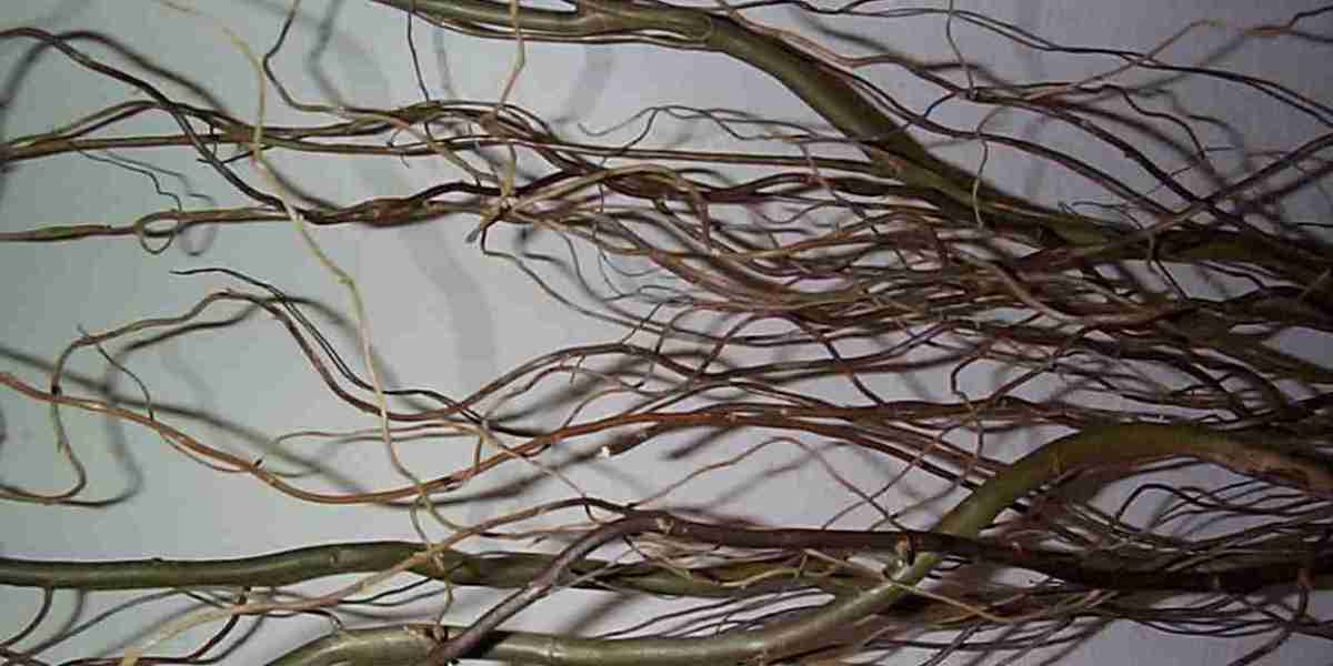 The Star casino warns investors of uncertain future