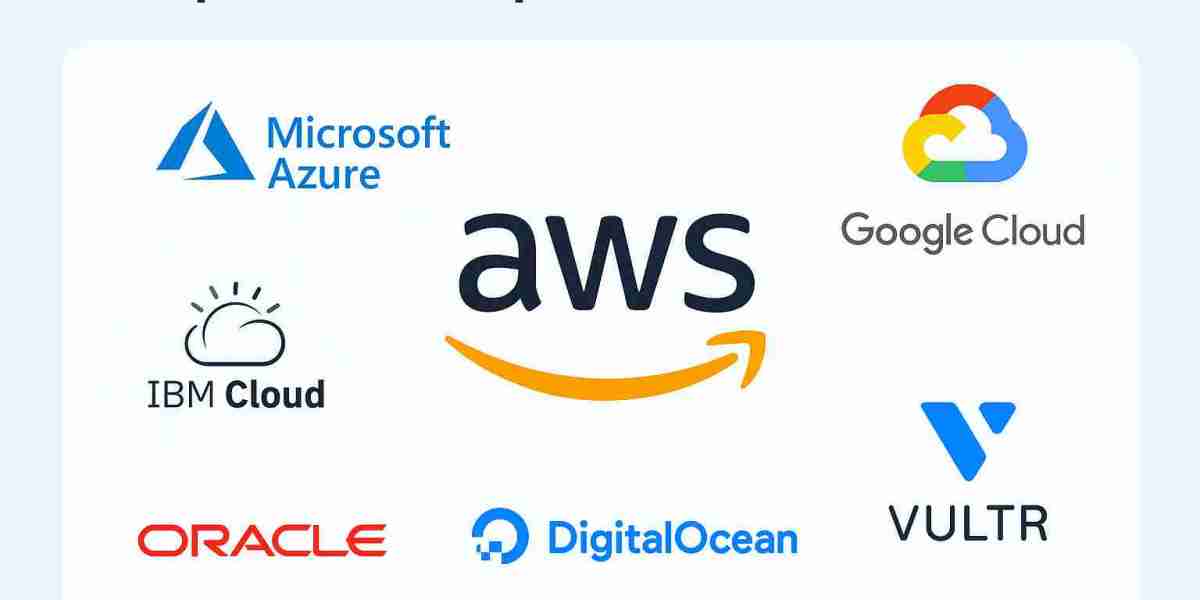 Evaluating the Growing Demand for Cloud Independence through AWS Alternative in India